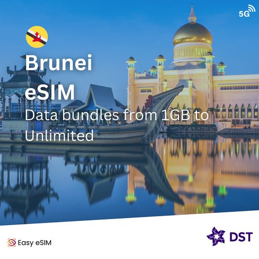 Brunei eSIM